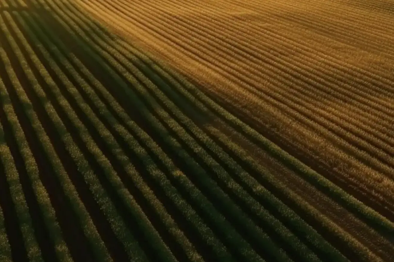 Prevent Sprayer Delays