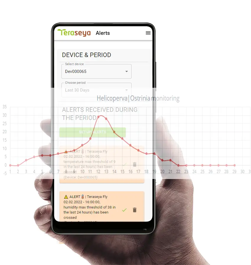 Teraseya Insect Monitoring