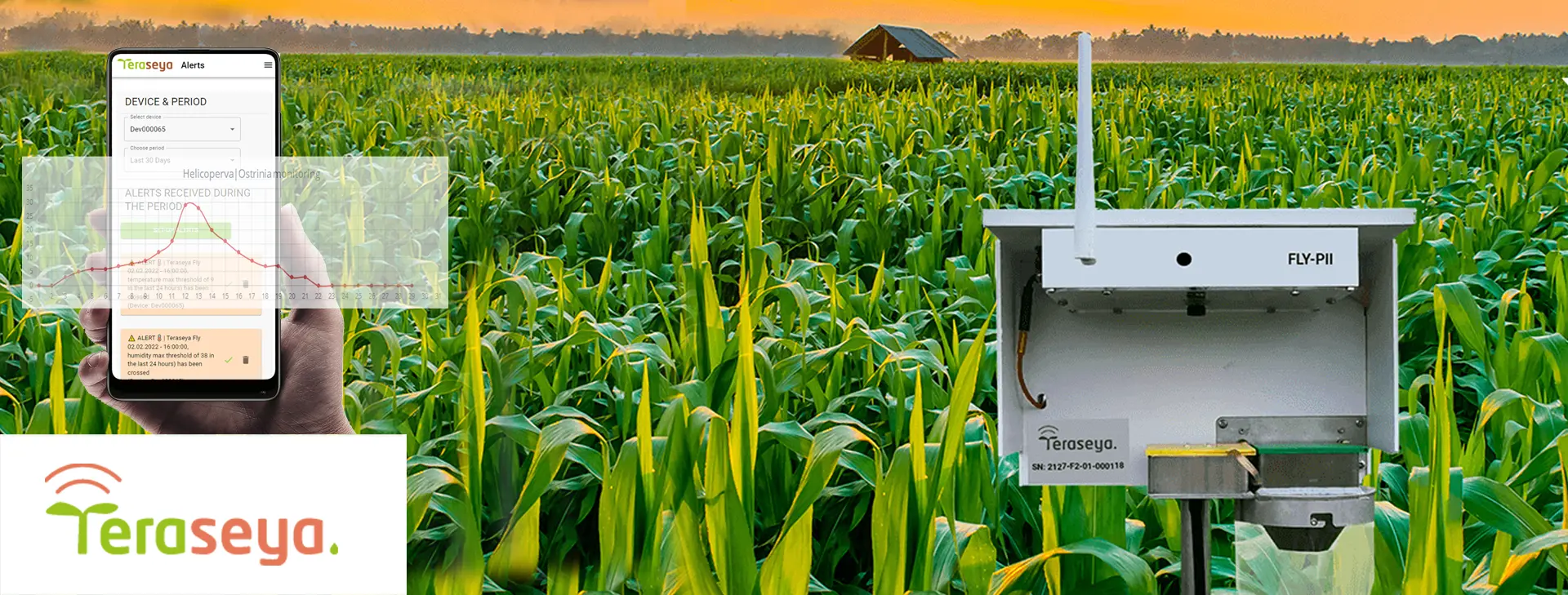 Teraseya Fly Pest Insect Monitoring