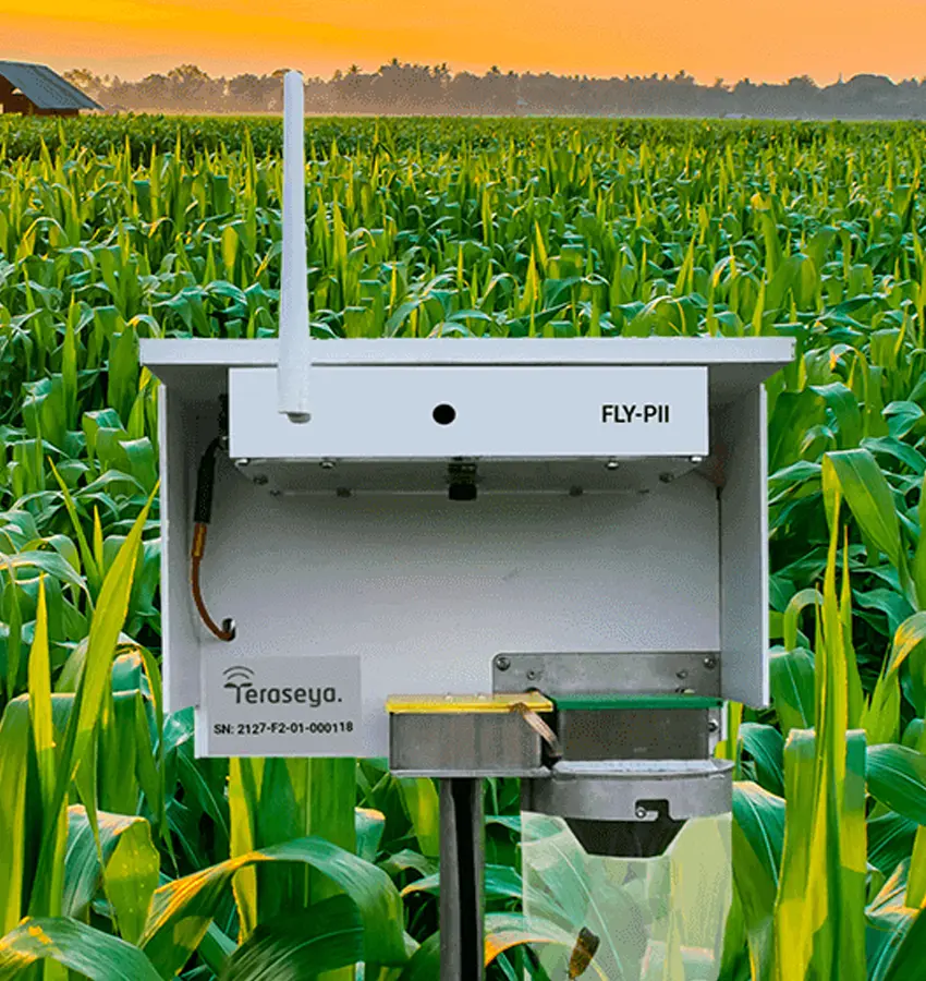 Insect Monitoring Stsyem