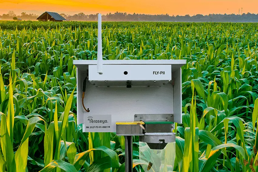 Teraseya Insect Monitoring